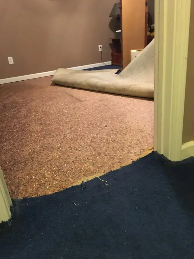 Carpet pad removal revealing water damage during Water Mitigation Services in Erwin