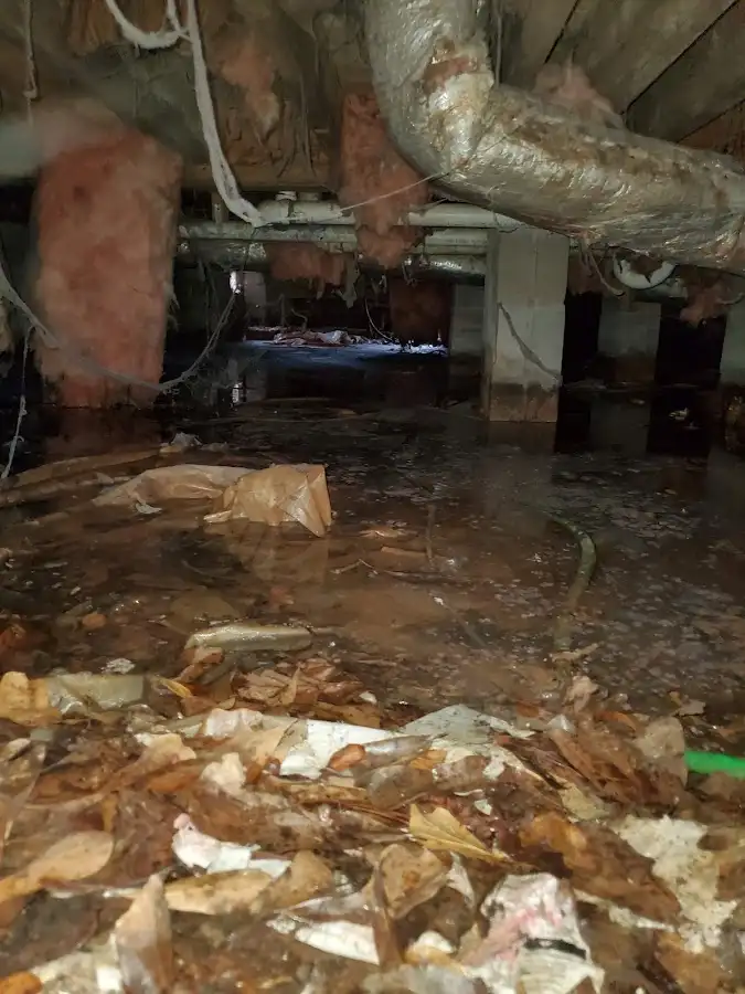 Crawl space flood assessment for Commercial Water Damage Restoration in Erwin