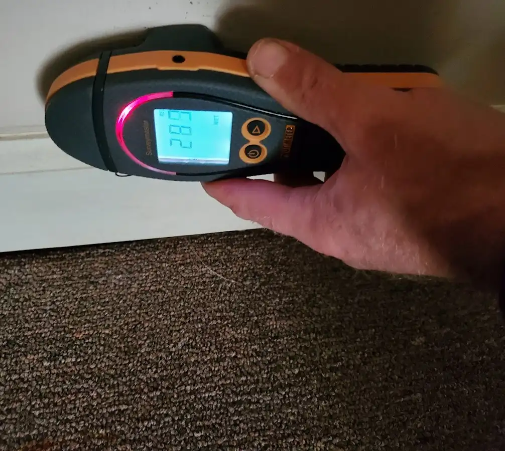 Moisture detection at baseboard during Storm Damage Restoration in Erwin
